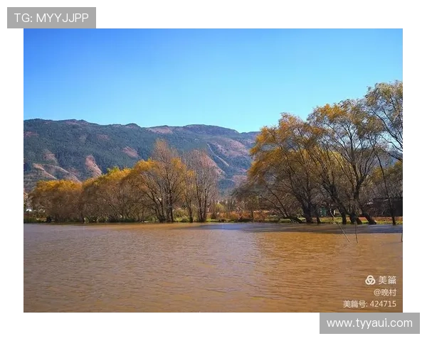 宣威校园体育联赛官网（宣威校园体育联赛官网首页）sports